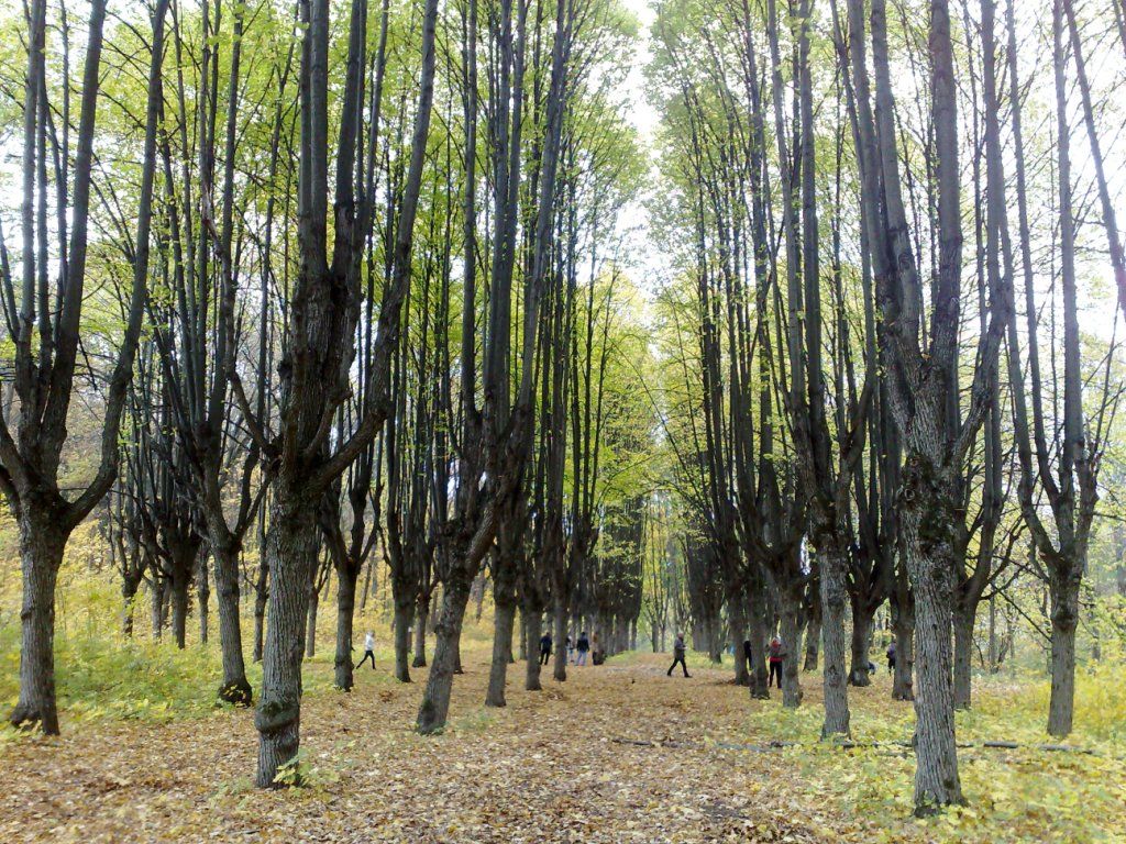 kharkiv forest park