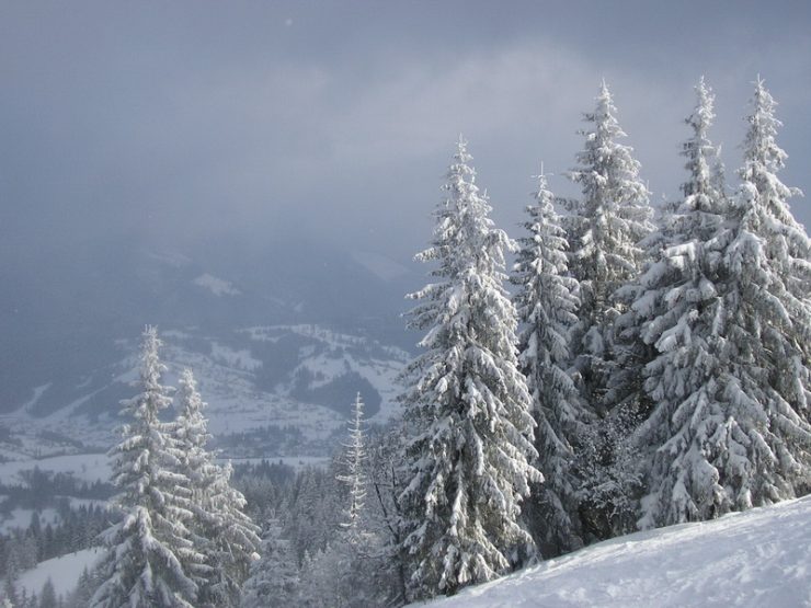 The best ski and snowboards resorts in Ukraine Ukraine Travel News