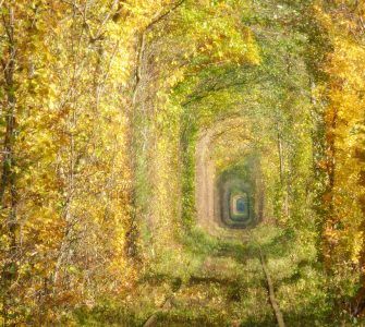 Tunnel of Love