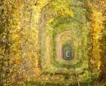 Tunnel of Love