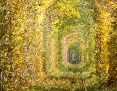 Tunnel of Love