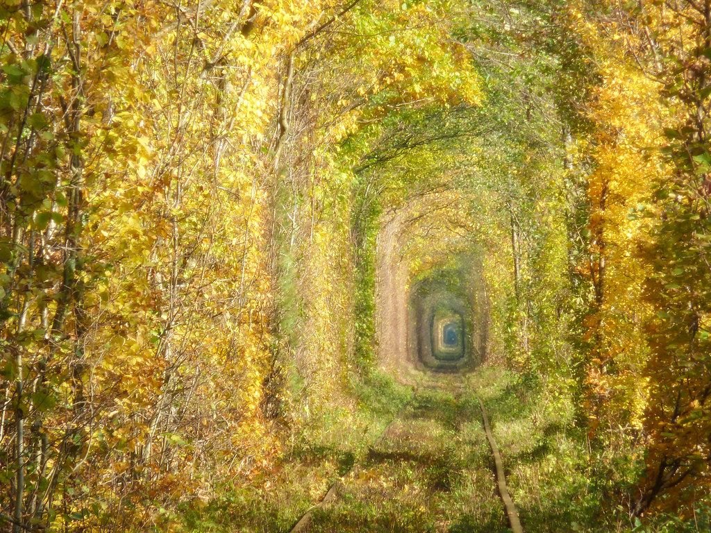 Tunnel of Love