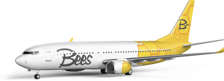 bees airline