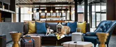 Travelling with Pets
