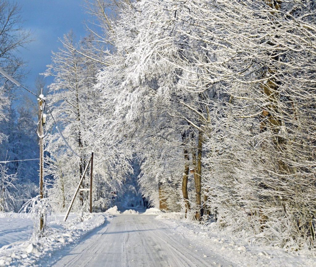 Winter holidays in Ukraine