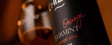 Chateau Chizay