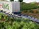 solar panels