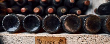 Wineries in the Kyiv Region