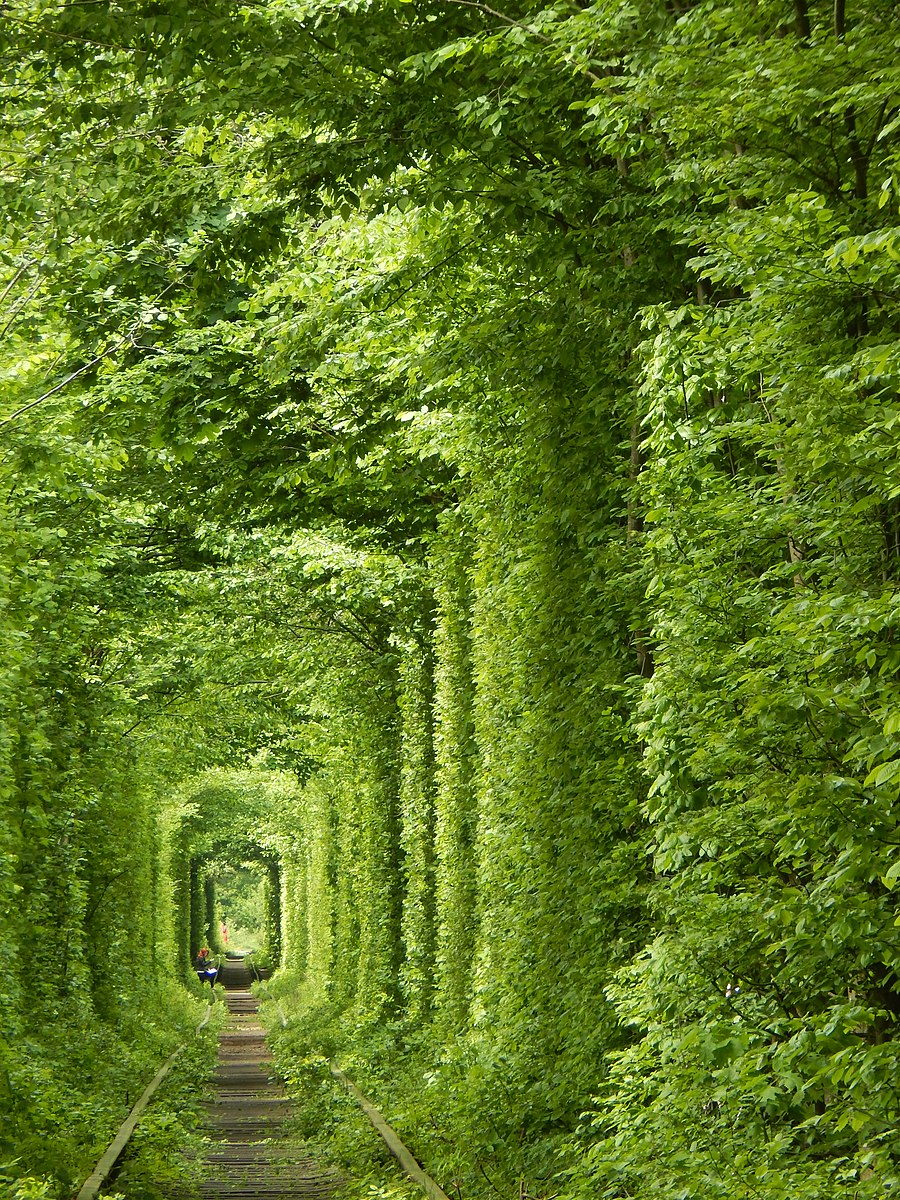 Tunnel of Love in Ukraine