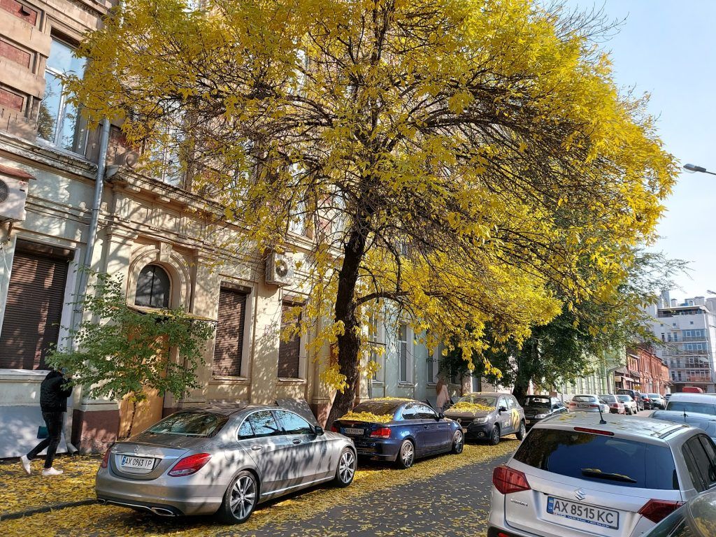 kharkiv