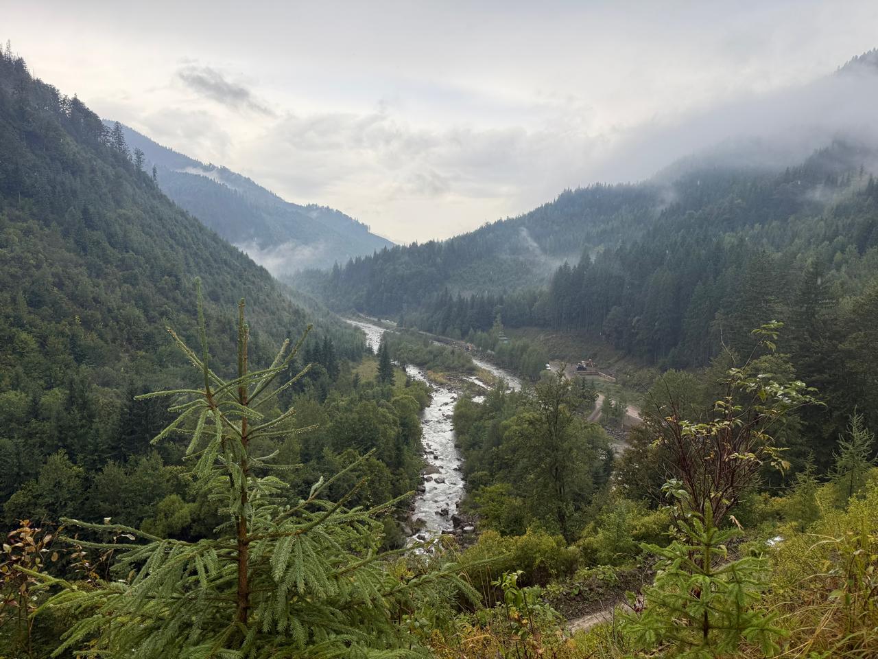Carpathian
